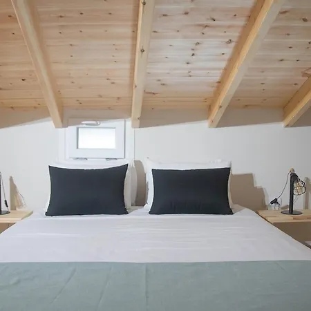 Апартаменты Agiopetra Lofts *